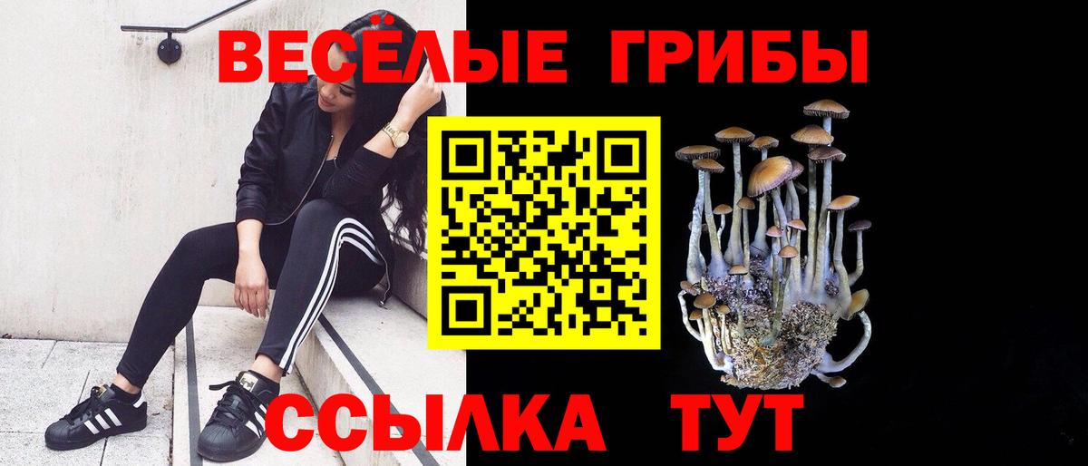 Дедовск  Галлюциногенные грибы MAGIC MUSHROOMS  Псилоцибиновые грибы Cubensis  Вход с VPN 